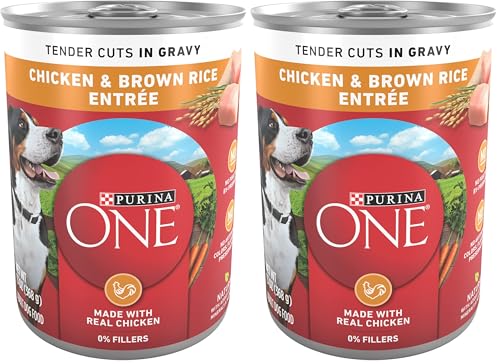 Image of Purina ONE Natural High Protein Dog Food, Tender Cuts in Gravy Chicken and Brown Rice Entree - 13 Ounce (Pack of 24)