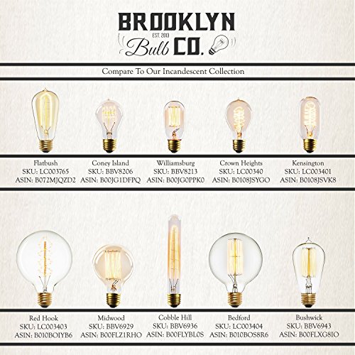St18 Led Edison Bulb - 4 Watt, Fully Dimmable, Warm White Light (2200K), E26 Medium Base, Vintage Style Squirrel Cage Filament, 270 Lumens (30W Equivalent), Damp Located, Bushwick Design #TOP4