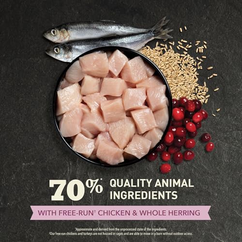 ACANA Dry Cat Food for Kittens First Feast Chicken and Fish 7lb Bag | Fresh or Raw Ingredients, Grain Free, High Protein, Made in the USA, Omega-3 Fatty Acids, Heart Health, Free-Run Poultry - Image 5