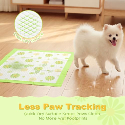 Image of MIZOK Puppy Pads 22 inchx22 inch, Dog Pee Pads 6-Layer Super Absorbent & Leak-Proof, Daisy Pattern, 4-Corner Adhesive Tabs, Wee Wee Pads for Puppies & Small Dog Breeds, Regular Size (30 Counts)