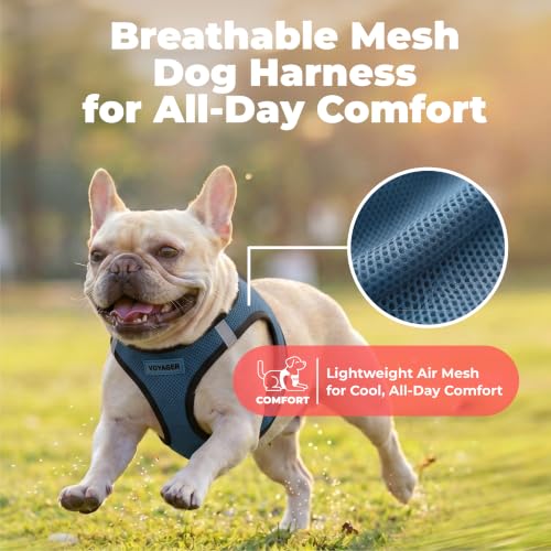 Image of Voyager Step-in Air Dog Vest Harness - Blue /Black Trim, XX-Small