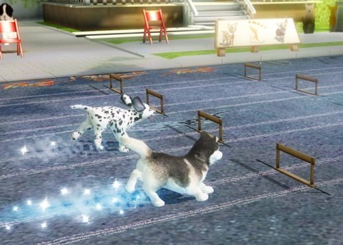 Petz Sports - Nintendo Wii (Renewed)