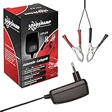 LOADCHAMP intelligent charging germany