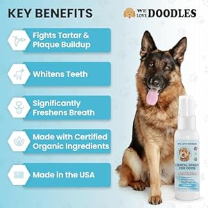 Welovedoodlesdogdentalsprayorganicdentalsolutionsplaquetartarcontrolspraynaturaloralcaredogforhealthyteethgumsfreshensbreathspray4oz Urban Country Home Decor We love doodles dog dental spray organic dental solutions plaque tartar control spray natural oral care dog for healthy teeth gums freshens breath spray 4oz urban country home decor