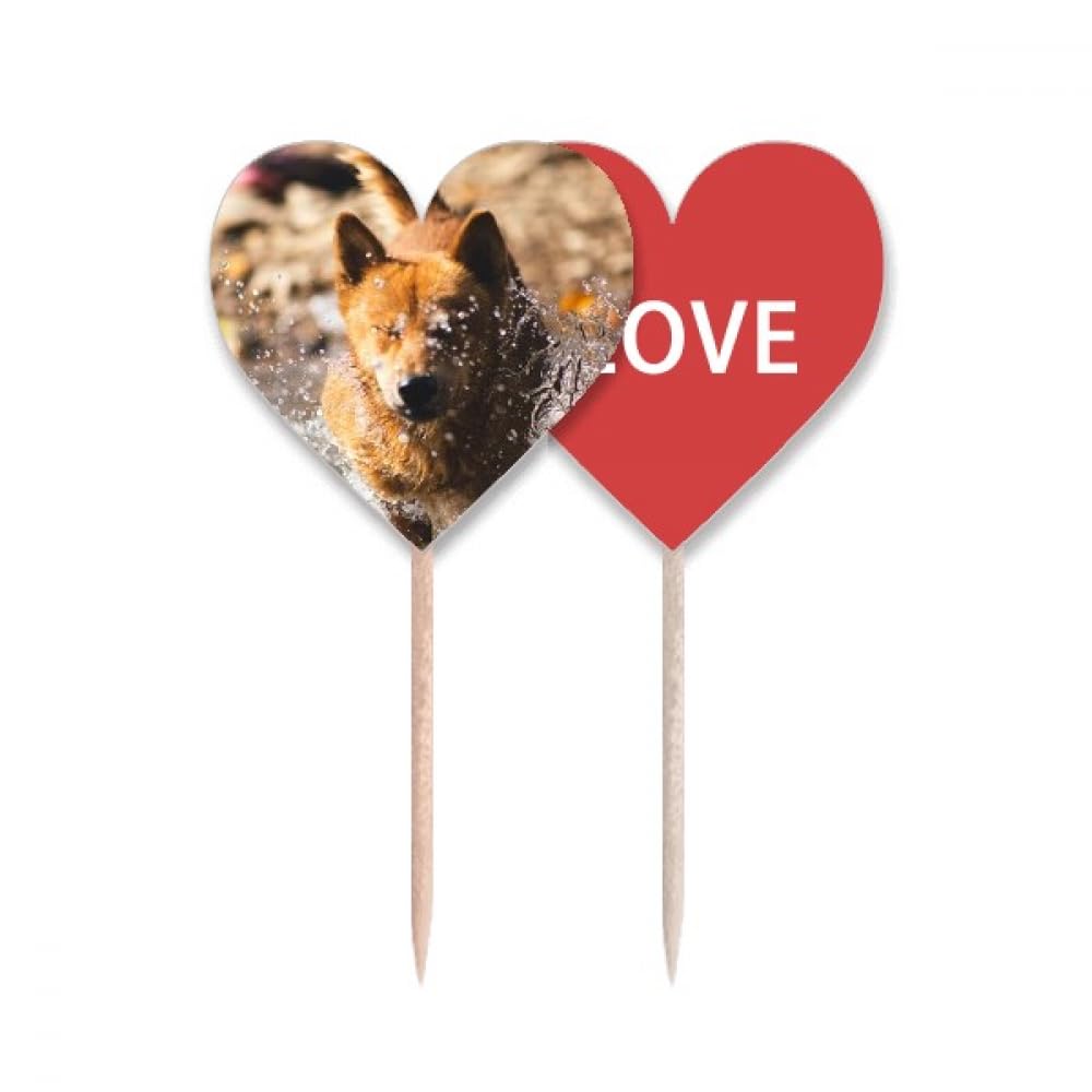 Cure-dents en forme de chien japonais Love Heart pique bois