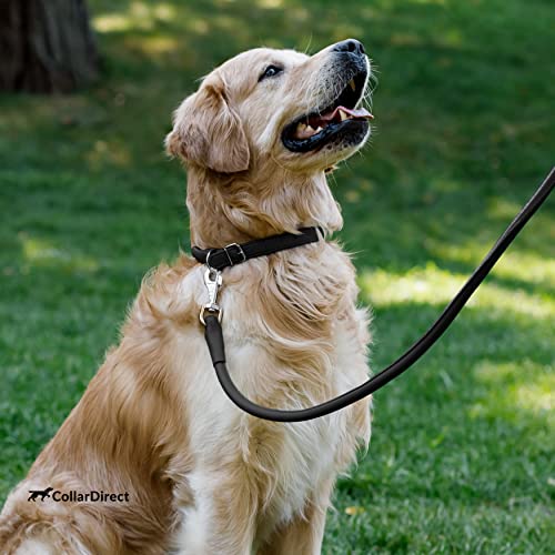 CollarDirect Rundes Leder Hundehalsband, weich gepolstert gerollt, handgefertigtes Echtleder Halsband für Hund Welpe Katze Klein Groß Schwarz Rosa Rot Lila Blau
