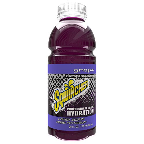Sports Drink Ready To Drink, Grape 20 Oz, Pk24 #TOP16