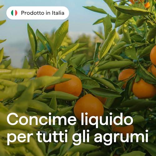 Concime Liquido 1000Ml Organico Per Agrumi Limoni E Piante Mediterranee - Rapido Aumento Produzione E Crescita Dei Frutti – Anche Per Agrumi In Vaso - Con Tappo Dosatore - Prodotto In Italia - Illica - 2