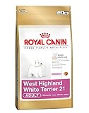 ROYAL CANIN Westie 21 gesundes und natürliches Trockenfutter für ausgewachsene Hunde, 3 kg