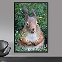 Framed Canvas Wall Art Squirrel Animals Fun Living Room Multicolor Photography Rustic Squirrel - 16x24 inches
