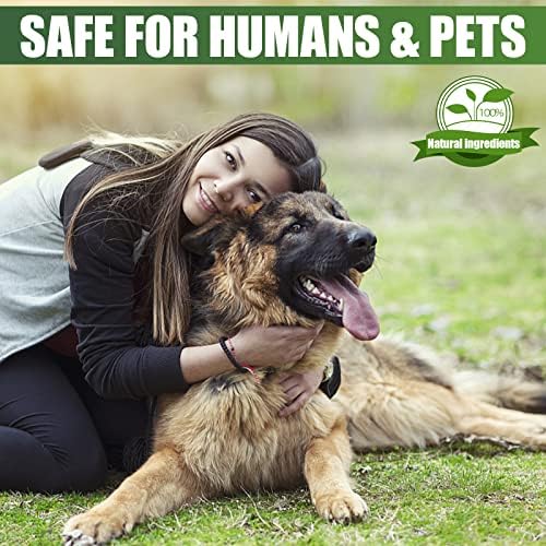 PROZADALAN Flea and Tick Collar for Dogs - Enhanced with Natural Essential Oils - 8 Months Protection - Safe & Allergy Free - Adjustable & Waterproof - Repels Fleas Ticks Lices Larve (1 pcs)