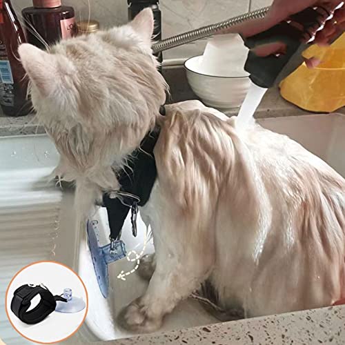 Collier réglable chat et chiot pour douche sans éclaboussures - 2