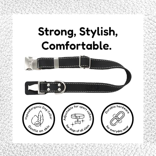 Collar para perro Euro Dog cuero negro talla M miniatura 2