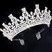 COCIDE Silver Tiara and Crown for Women Birthday Tiara for Girls AB Crystal Queen Crown Rhinestones Hair Accessories for Bride Party Bridesmaids Wedding Halloween Costume Cosplay Gift