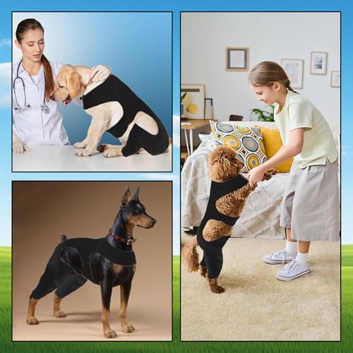 Hunde-Body für Hinterbeine, Hundebody Nach op Body, Welpe nach Op Hundebody, Hundebody Nach Op Mit Bein, Anti-Wundlecken Op Body Hunde, Hundebody Nach Op, für Haarausfall, Anti-Lecken, Wundschutz