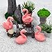 2 Pieces Mini Flamingo Figurines – Cute Plastic Flamingo Miniatures for Fairy Garden, DIY Craft, Moss Landscape, Cake Toppers, Plant Pots, Bonsai Decor, Party and Home Decoration, Cupcake Toppers
