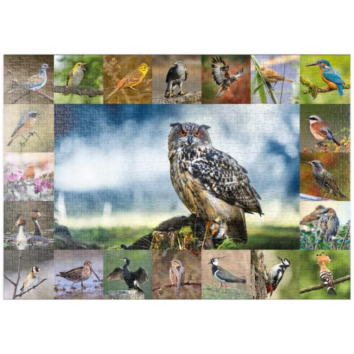 Aves del Año - Collage Nº 3 - Tema Principal: Búho Real - Premium 1000 Piezas Puzzles - Colección Especial MyPuzzle de Starnberger Spiele Cover