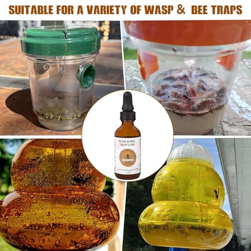 Image of 4 oz Carpenter Bee Bait Lure Traps for Outside, Attractant for Wasps, Yellow Jacket, Bees, Hornets, Insects Outdoor, Great for Hanging Insect Traps (2 oz /Bottle)