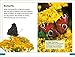 DK Super Readers Level 3 Animal Hide and Seek