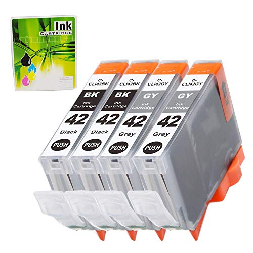 NEXTPAGE Compatible Ink Cartridges Replacement for Canon CLI-42 Black & CLI-42 Gray Professional Inkjet Work with Canon Pixma Pro100 Ink Cartridges, CLI42 BK & CLI42 GY Ink Cartridges 4 Pack