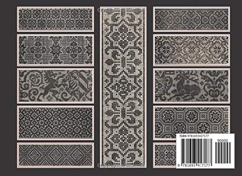 Johann Sibmacher's New Model Book: Charted Patterns for Needlepoint & Counted Cross Stitch