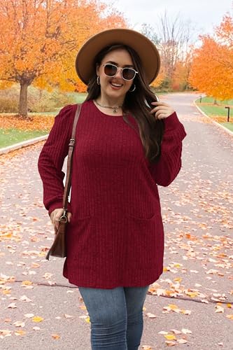 Image of OFEEFAN Long Sleeve Shirts for Women Long Sweaters with Pockets Tunic Tops Loose Fit