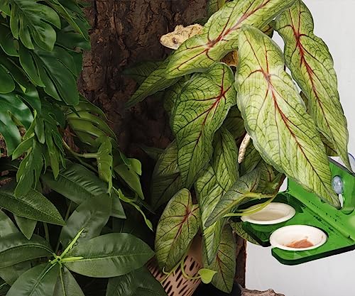 WOLEDOE Reptile Plants for Terrarium, Amphibian Habitat Decor Artificial Hanging Plants with Suction Cup - Fake Arrowhead Plants Green Syngonium Podophyllum - Thumbnail 7