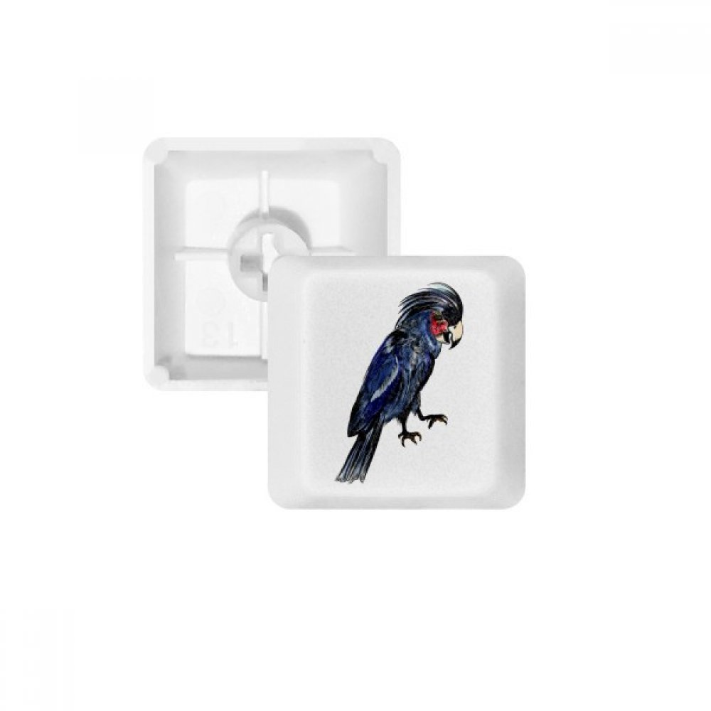 Keycaps PBT Deep Blue Parrot multicolore OEM pour personnalisation clavier - 4