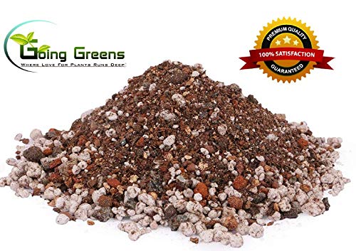 Image of 100% Organic Bonsai Potting Soil Mix - 2400 GMS (800 GMS x 3 nos)