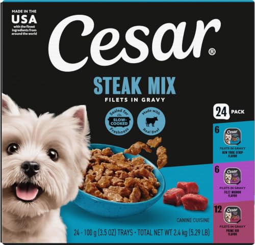 Image of Cesar Filets in Gravy Wet Dog Food, Steak Mix Variety, 3.5 oz, 24 Count | Filet Mignon, New York Strip & Prime Rib, real meat, slow-cooked, no fillers /added sugar /artificial flavors, easy peel trays