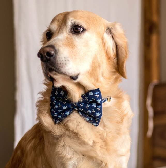 Tails Of Joy Cute Classic Flower Design Bow Tie with Adjustable Strap for Dogs and Cats Size - Small Color - May Very (B0BTPWKG6V) Amazon Price History, Amazon Price Tracker