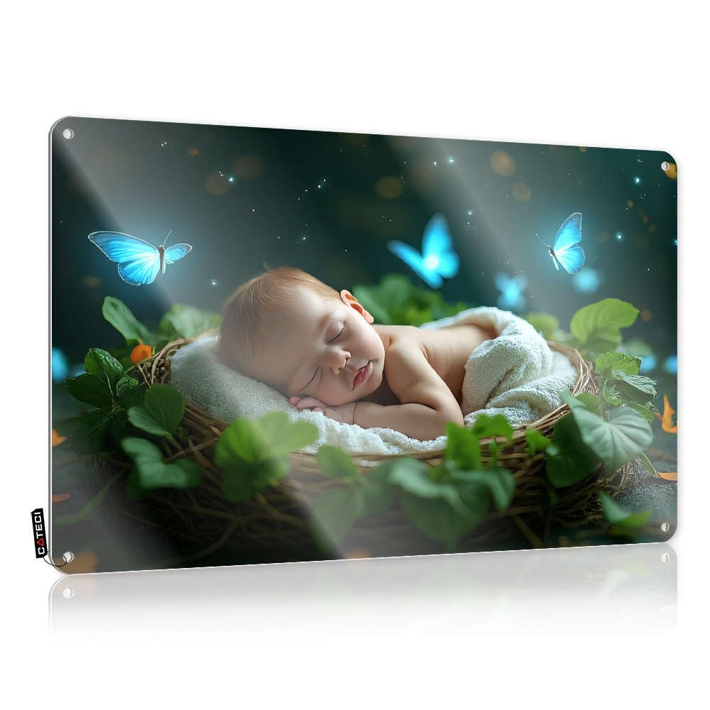 Tinsign Room Wall Signs - A Baby Sleeping Peacefully In A Nest Surrounded By Glowing Butterflies. Gift Rustic Wall Hanging(30X40CM)