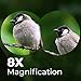 Wingspan Optics FieldView 8X32 Compact Binoculars for Bird Watching. Lightweight and Compact for Hours of Bright, Clear Bird Watching. Also for Outdoor Sports Games and Concerts