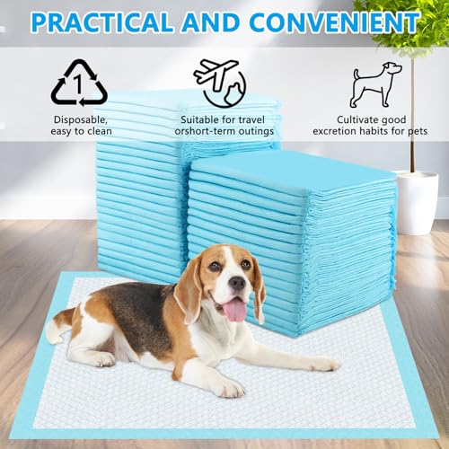 Foydream Welpen Unterlagen,40 Stück PIPI Matten für Hunde 60 x 60 cm Trainingspads Auslaufsicheres 6-lagiges Design mit Schnell Trocknender Oberfläche