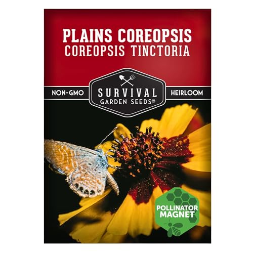 Survival Garden Seeds - Plains Coreopsis Seeds for Planting | Native Wildflower Coreopsis Tinctoria | Pollinator Support | Calliopsis - 1 Pack