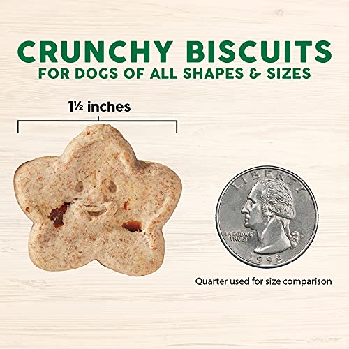 Cloud Star Wag More Bark Less Oven Baked Biscuits, Grain Free Crunchy Dog Treats, With Chicken & Sweet Potatoes -14 Oz. #TOP4