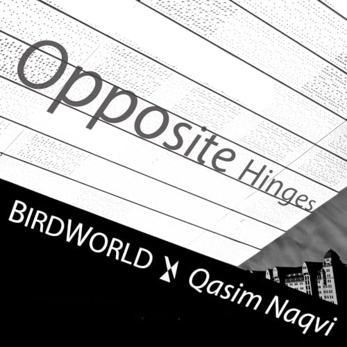 Opposite Hinges (Qasim Naqvi Remix)
