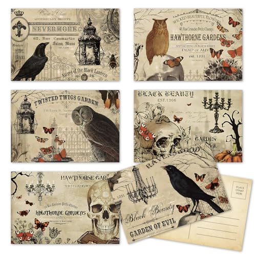 Whaline 36Pcs Halloween Postcards Vintage Owl Crow Skull Post Cards
