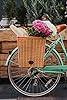 Proper Velo Company Sunnyside Wicker Pannier - Durable, Rattan, Quick-Release, Rear Bicycle Storage Basket, One size #1