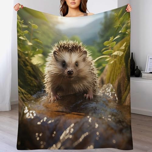 Couvertures en hérisson flannel de qualité supérieure drap de lit doux
