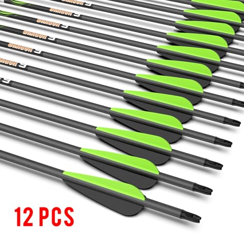 Image of sanlida 100% Pure Carbon Hunting Arrows, Olympic-Grade 10 Spines Deflection (Unique), 0.001 inch /0.003 inch /0.006 inch Straightness, Buy 12 Get 12 Free /Buy 6 Get 6 Free, for Compound & Recurve Bows (12 /24PCS)