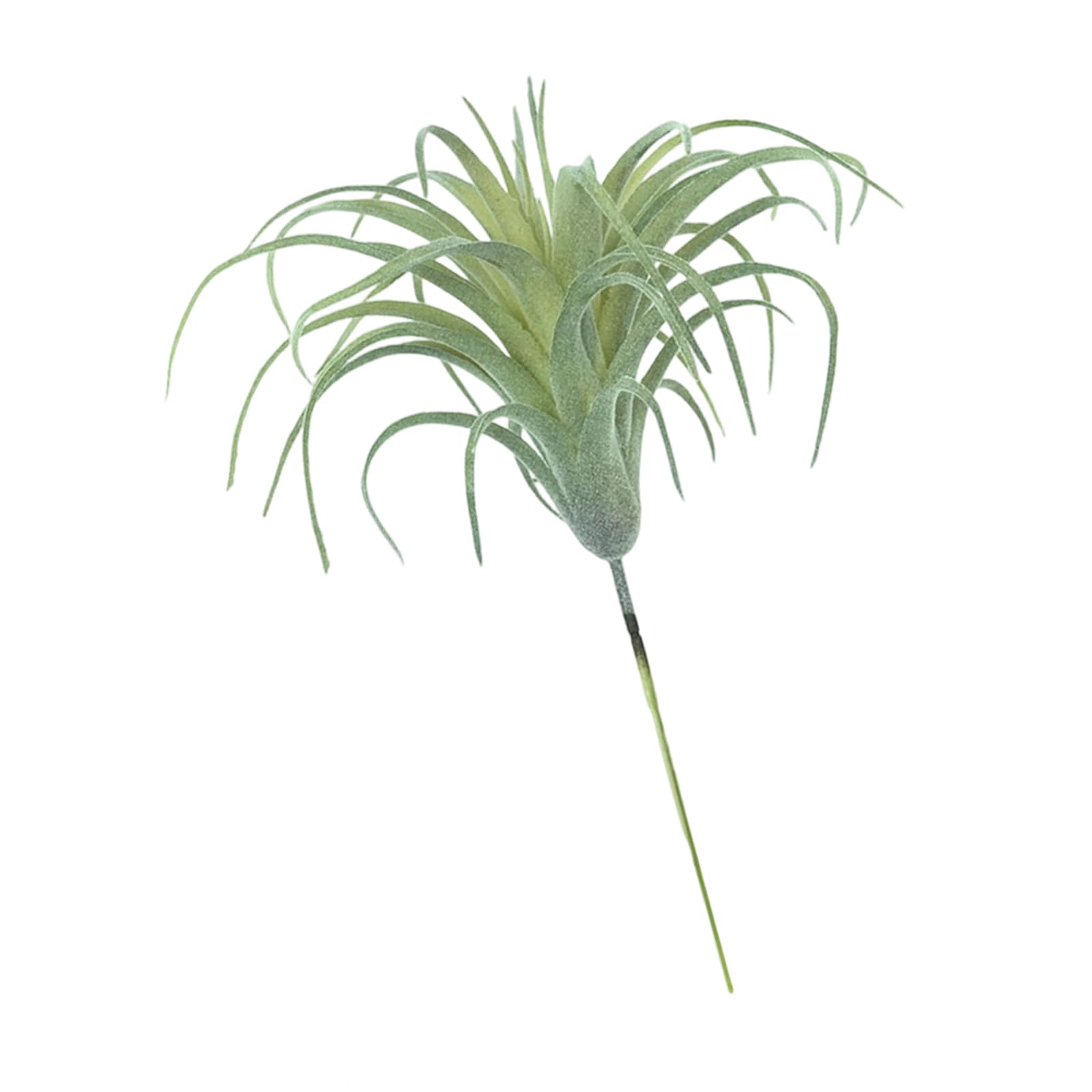 Tsophreniq Tillandsia Succulents Plant Decorative Artificial Plant for Indoor Offices Home Modern Rural Interior Landscape Artificial Air for Home Desk Decors