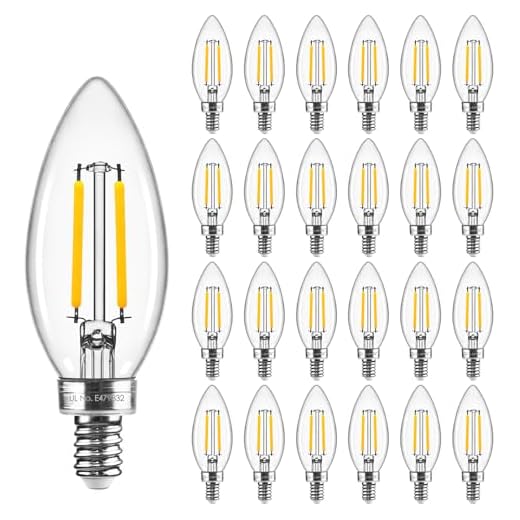 Best led light bulbs for portrait photography with umbrella Hizashi Dimmable E12 LED Candle Bulbs