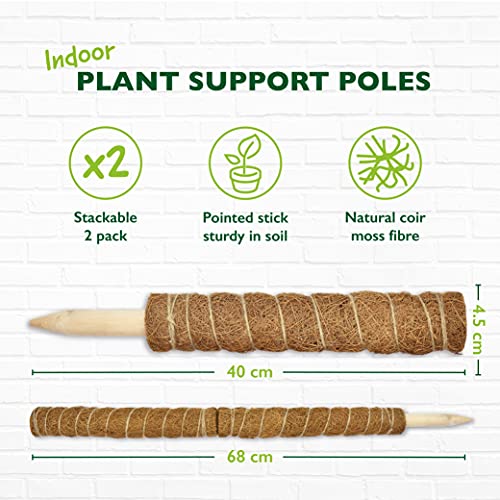 Mospaal mosstoken kokos totem paal voor planten, mospaal voor monstera en kamerplanten, ondersteuning voor tuin planten… - Image 3