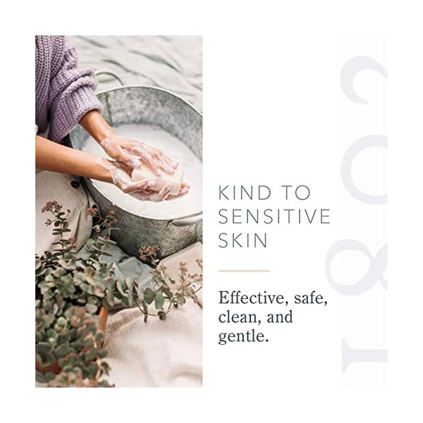 Beekman-1802-Whipped-Body-Cream-Pure-Goat-Milk-Fragrance-Free-Goat-Milk-Body-Butter-Daily-Hydration-for-Dry-Skin-Naturally-Exfoliating-Cream-for-Sensitive-Skin-Goat-Milk-Bodycare-8-oz Beekman 1802 Whipped Body Cream, Pure - Fragrance Free - 8 oz - Intensely Hydrating & Softens Skin - With Goat Milk - Good for Sensitive Skin - Cruelty Free