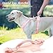 Sunraymascota No Pull Dog Harness, Puppy Vest with Front Clip for Small Medium Large Sized Dog(Light Pink,L)