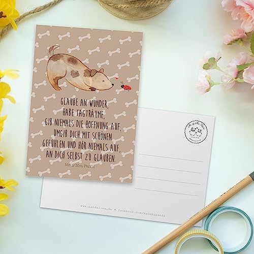Mr. & Mrs. Panda Postkarte Hund Marienkäfer - Geschenk, Ansichtskarte, Träume, bildkarte, Zuversichtlich, Mischlingshund, Sprüche, Positiv, Ansichtskarten, Postkarten, Grußkarte, Wunder