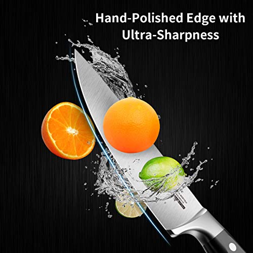 SKY LIGHT Chef Knife, 6 inch Pro Kitchen Knife Ultra Sharp Chef's Knife German High Carbon Stainless Steel Chef Cooking Knives with Ergonomic Handle
