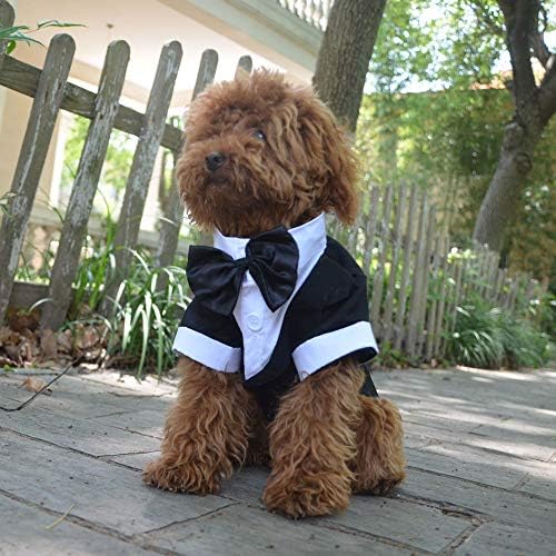 Lovelonglong Pet Costume Dog Suit Formal Tuxedo with Black Bow Tie for Small Dogs Cat Clothes Chihuahua Clothing Black XS