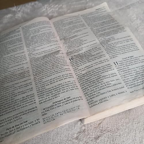 Episodio 15 - genesis primer libro de moises